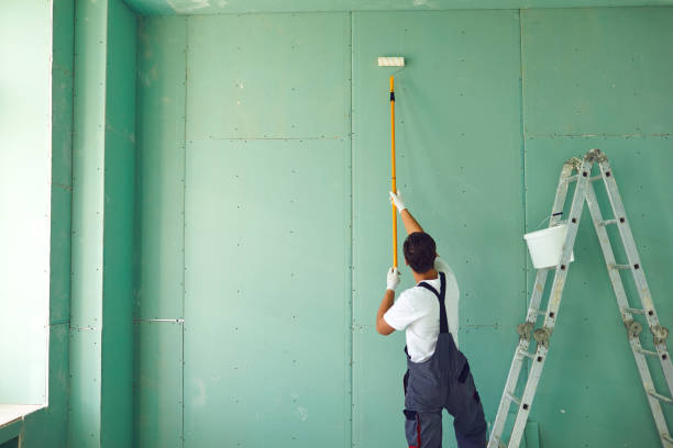 Best Mold Odor Removal Services  in Cambridge, MN