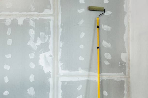 Mold Odor Removal Services in Cambridge, MN