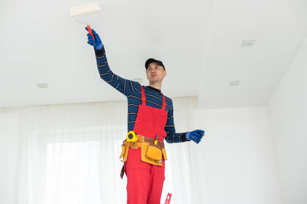  Cambridge, MN Mold Removal Pros